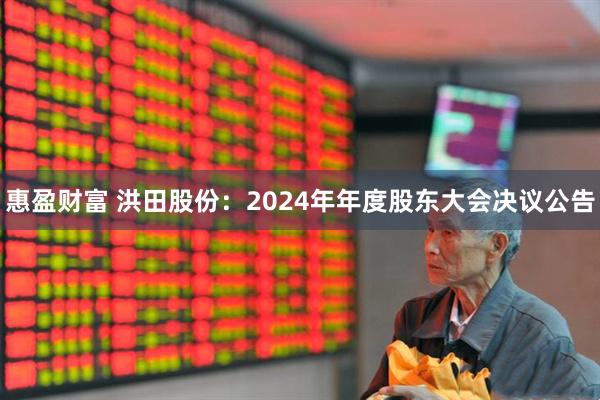 惠盈财富 洪田股份：2024年年度股东大会决议公告