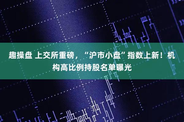 趣操盘 上交所重磅，“沪市小盘”指数上新！机构高比例持股名单曝光