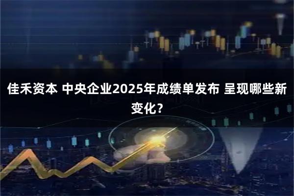 佳禾资本 中央企业2025年成绩单发布 呈现哪些新变化？