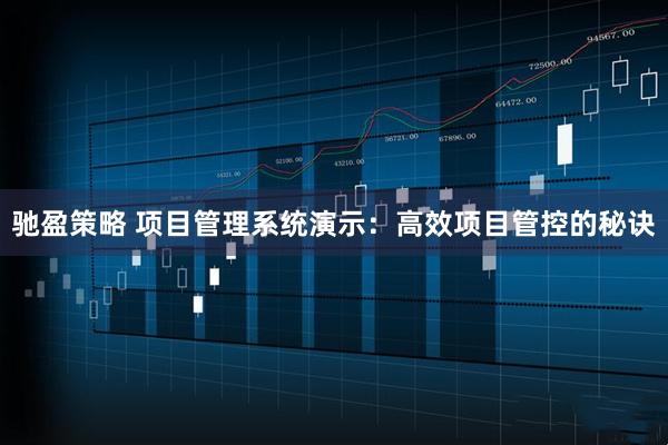 驰盈策略 项目管理系统演示：高效项目管控的秘诀