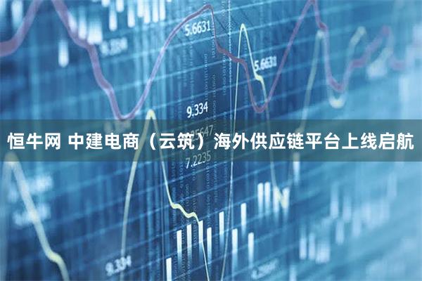恒牛网 中建电商（云筑）海外供应链平台上线启航
